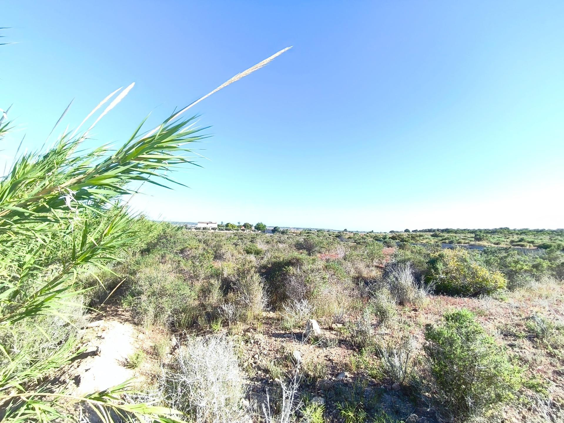 Terreno rústico de 30.000 m2 con posibilidad de construir vivienda unifamiliar en Balsares (Elche)
