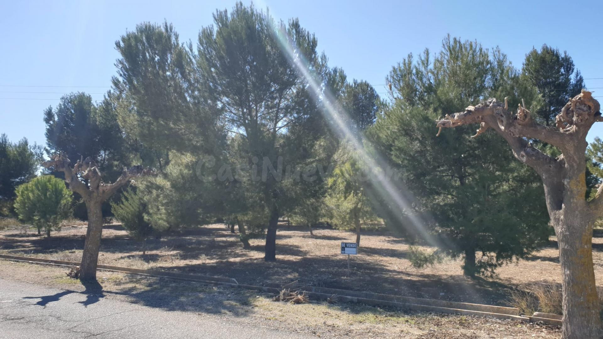Parcela en venta - Comunidad valenciana