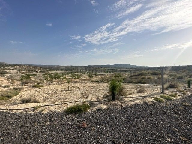 Parcela en venta - Cañadas de San Pedro