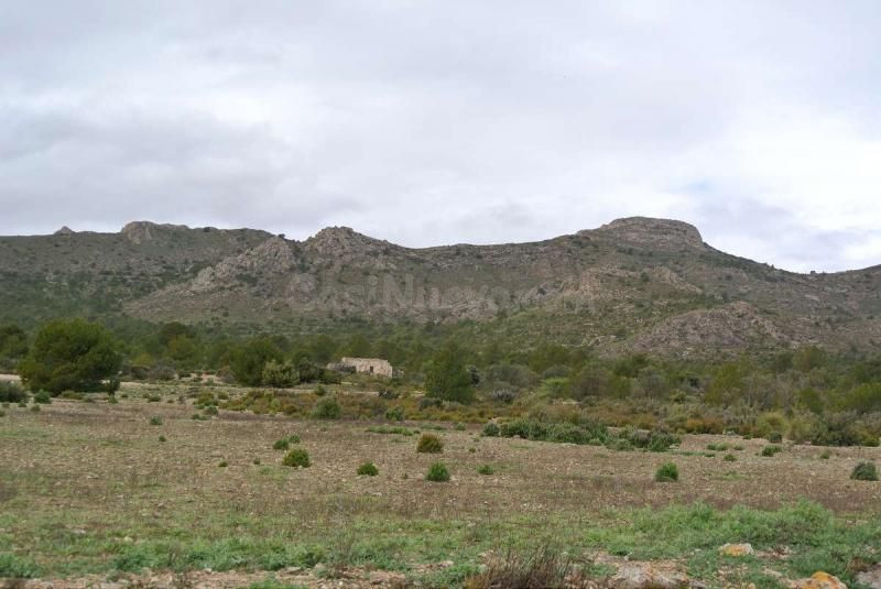 Parcela en venta - Ayuntamiento