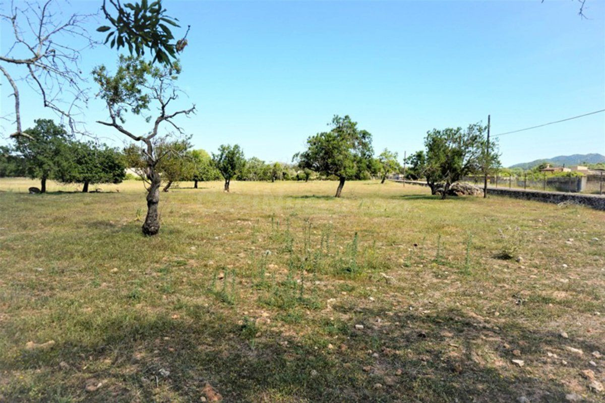 Parcela 200m² en venta - Artà
