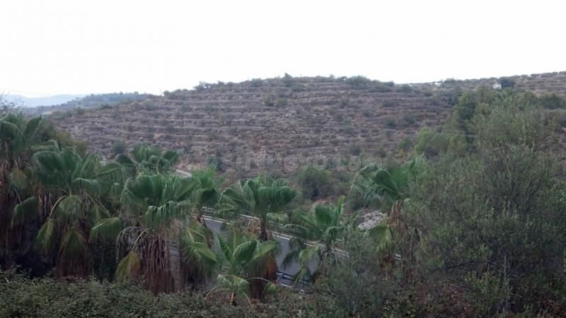 Parcela en venta - Centro