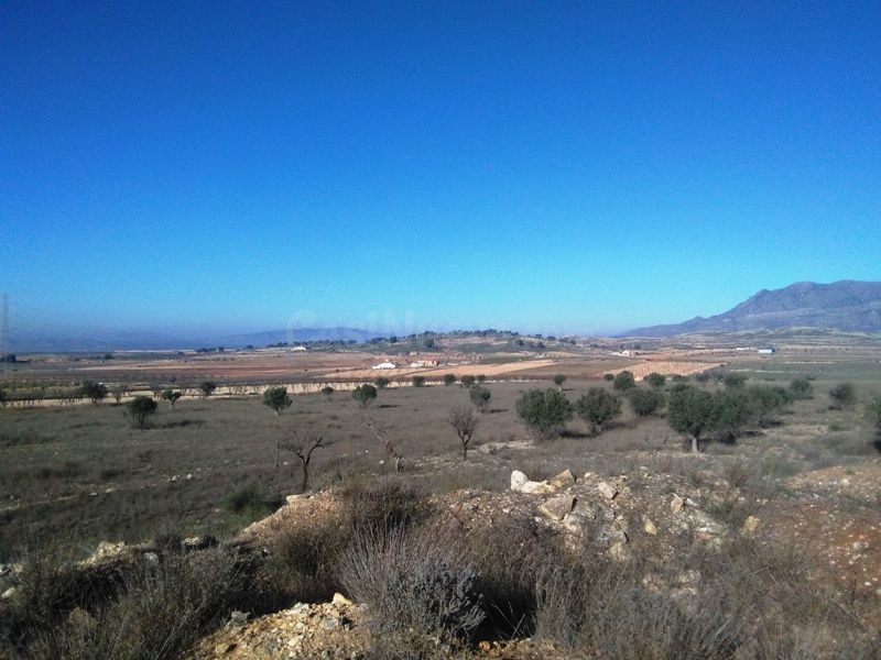 Parcela en venta - Torre del rico