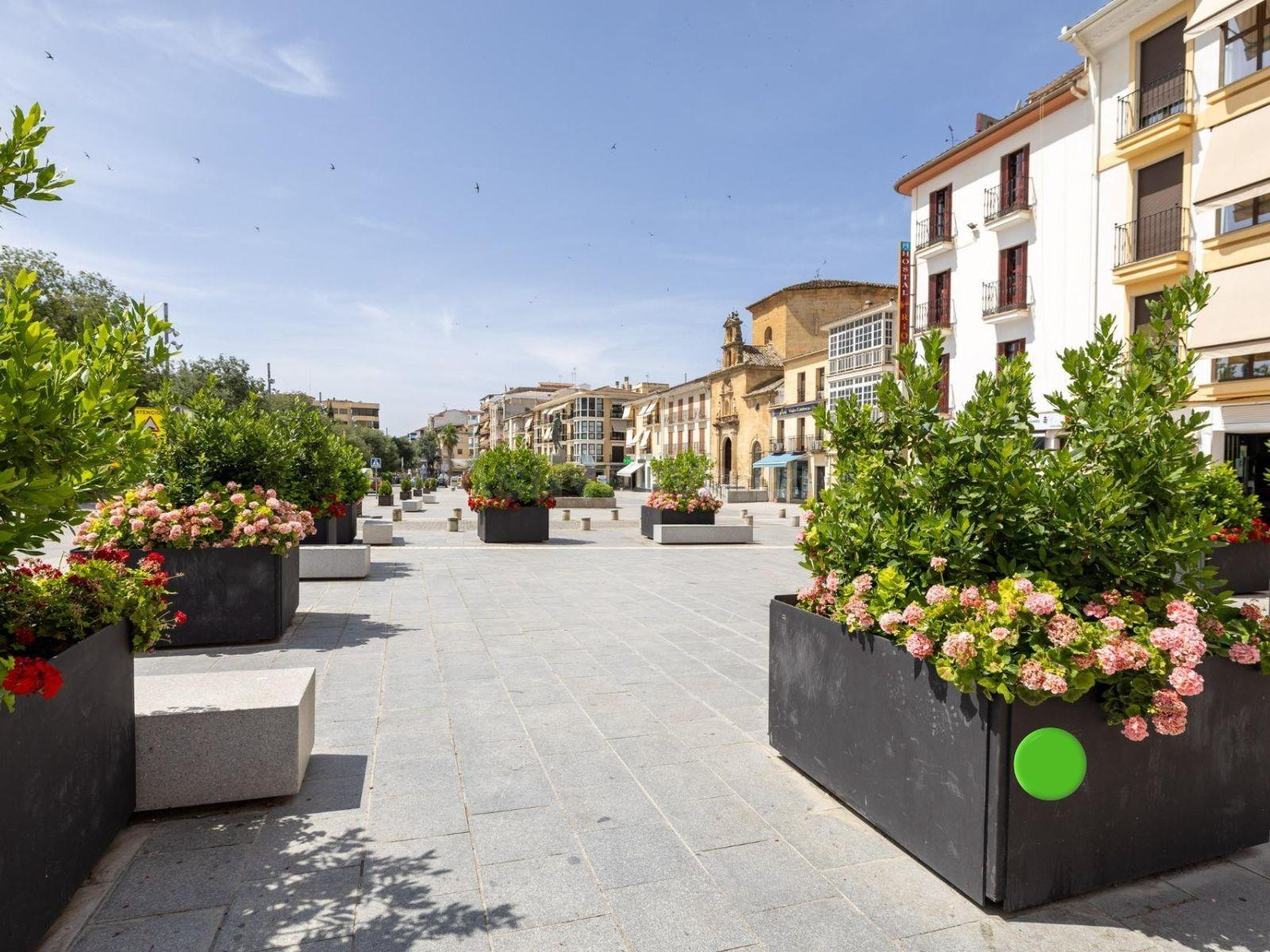 AMPLIO PISO EN EL CENTRO DE ALCALÁ LA REAL – 190 m2 CON TERRAZA Y OPCIÓN DE GARAJE