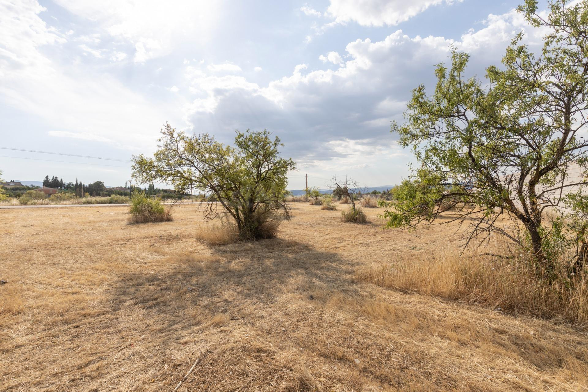 Terreno rural en venta - Andalucia