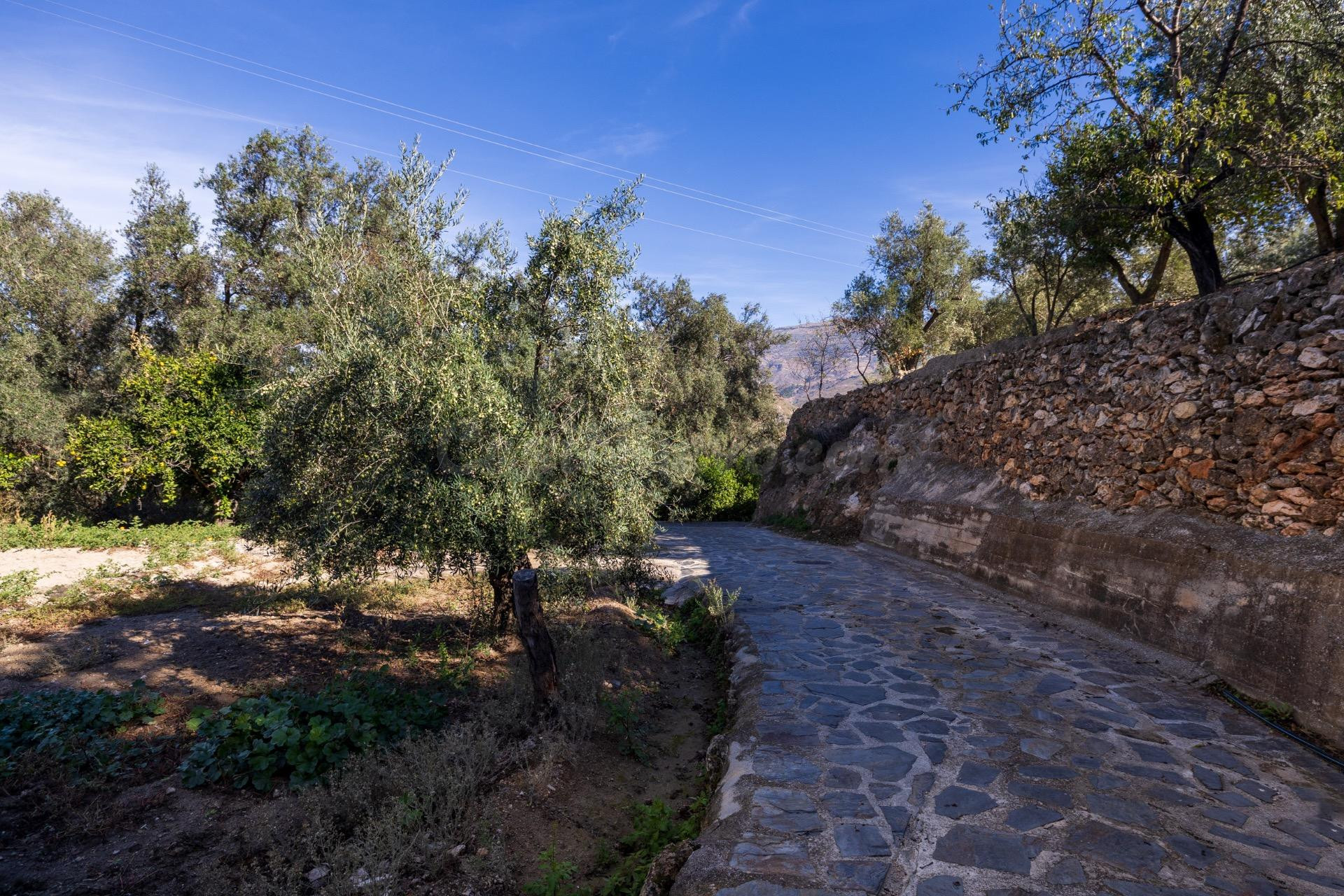 FINCA RUSTICA EN LA VEGUETA, PINOS DEL VALLE!!