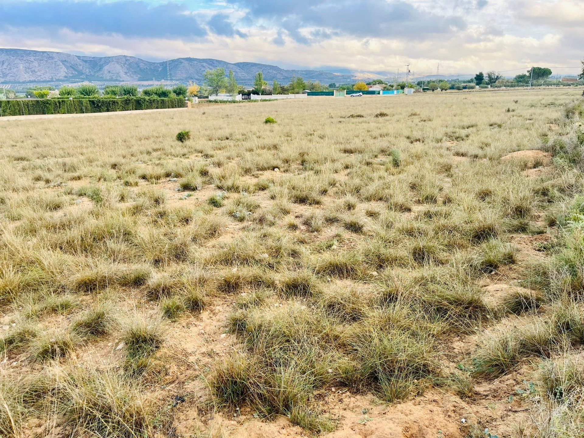 UNA GRAN PARCELA RÚTICA A UN PASO DE VILLENA