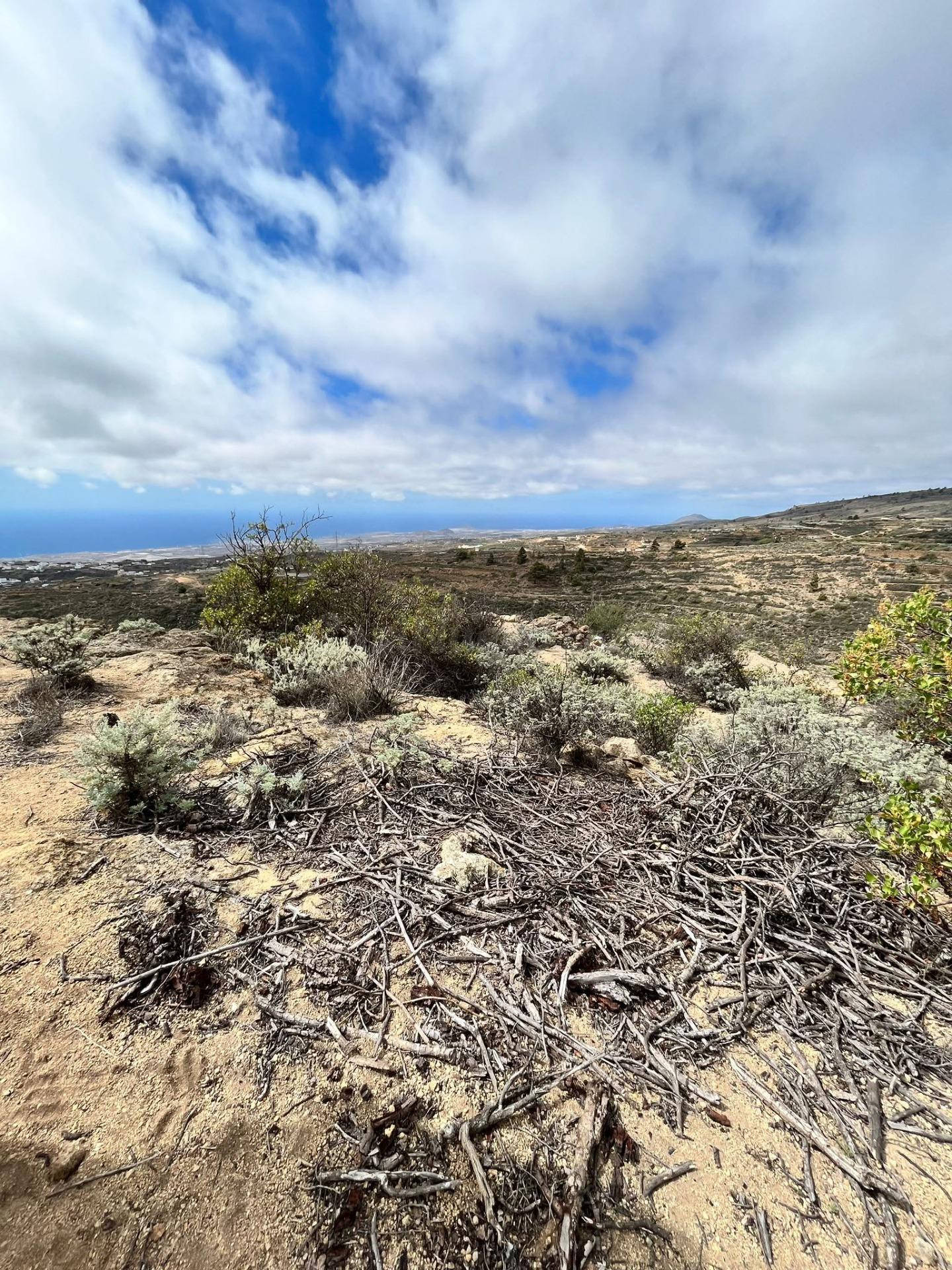 TERRENO RURAL EN VENTA EN ARICO VIEJO – Sur de Tenerife