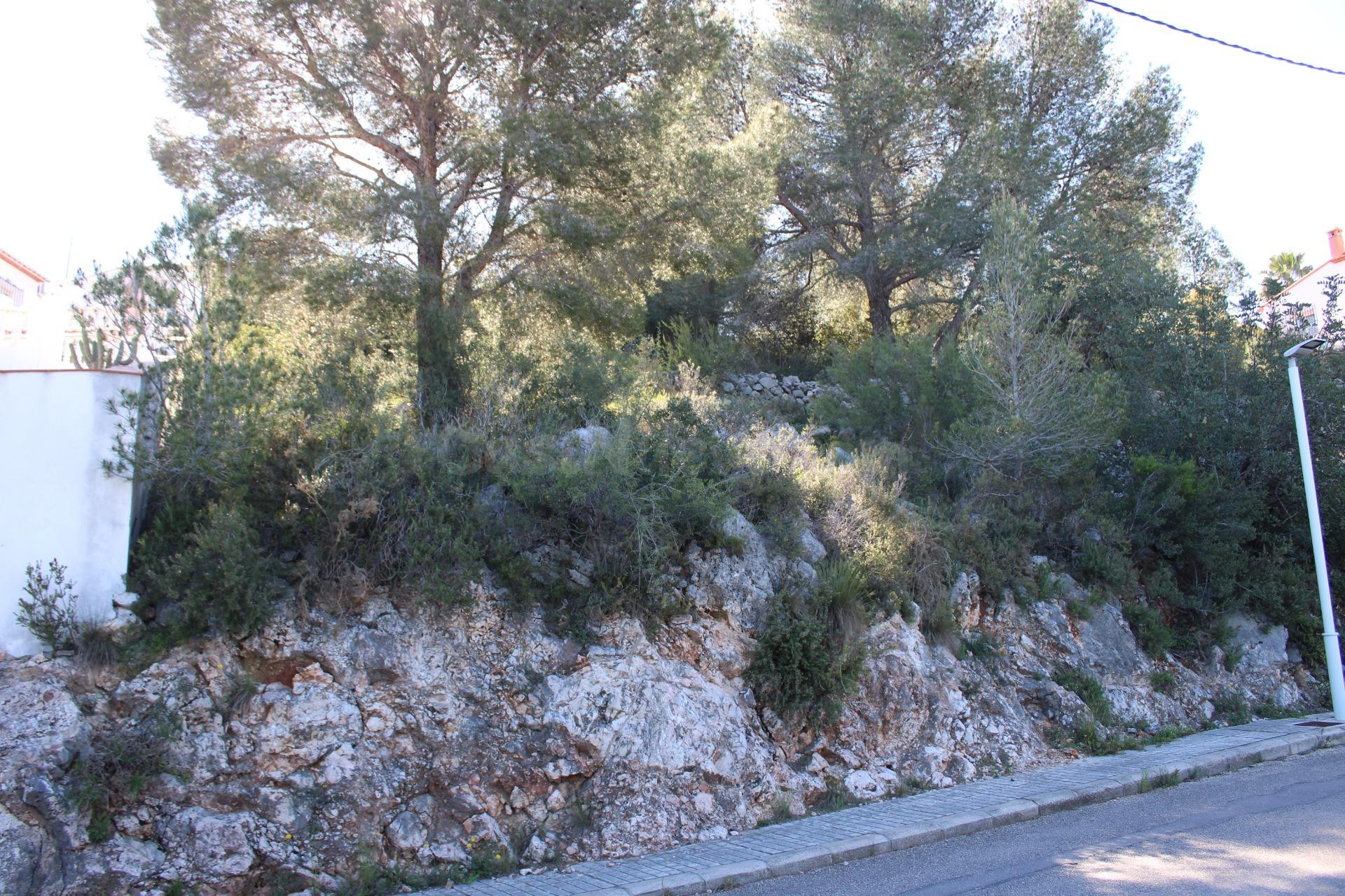 Parcela en venta - Urbanizacion tossal gross - foto 5