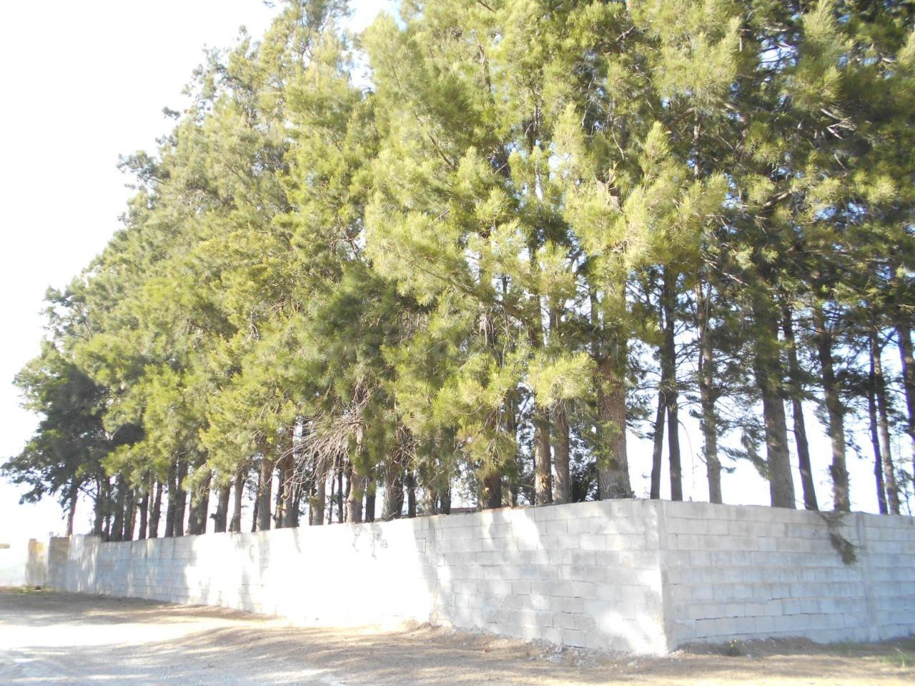 Finca rústica 140m² en venta - Oliva Nova