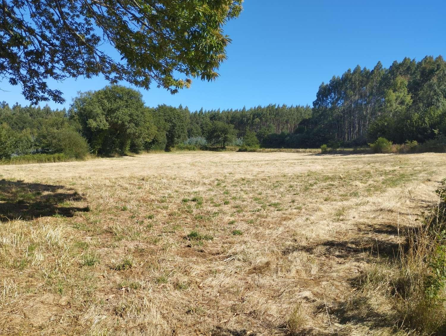Finca rústica en Begonte, Lugo.