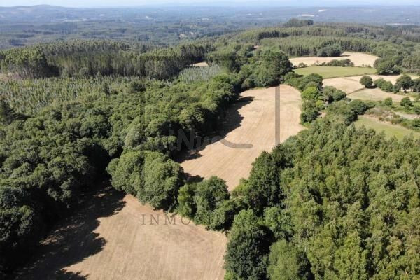 Casa para rehabilitar con gran finca en Begonte.