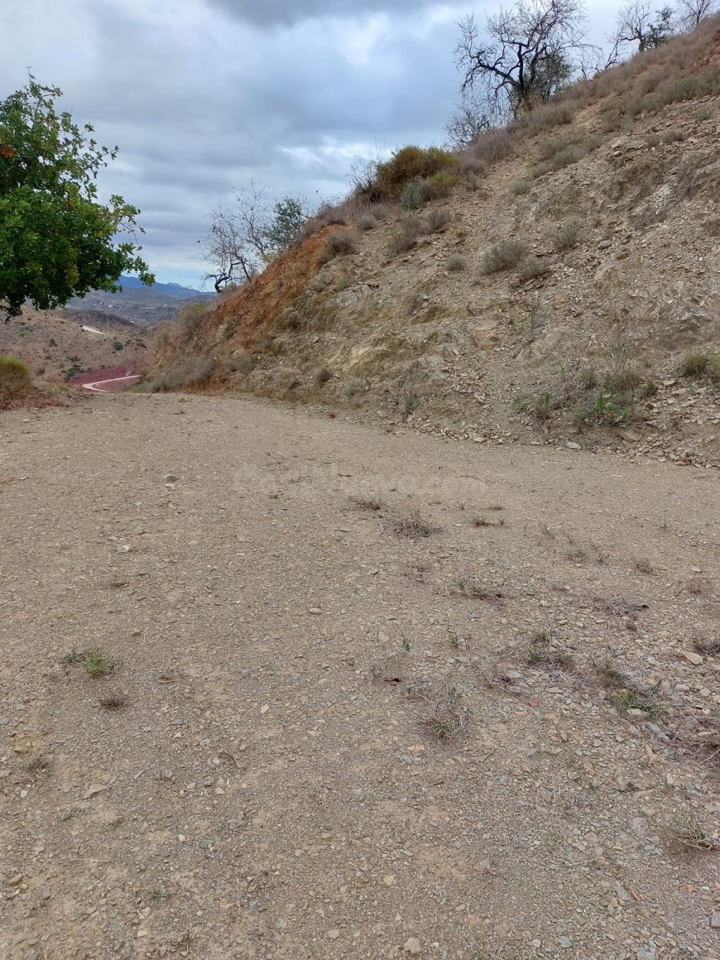 Esta en venta gran parcela