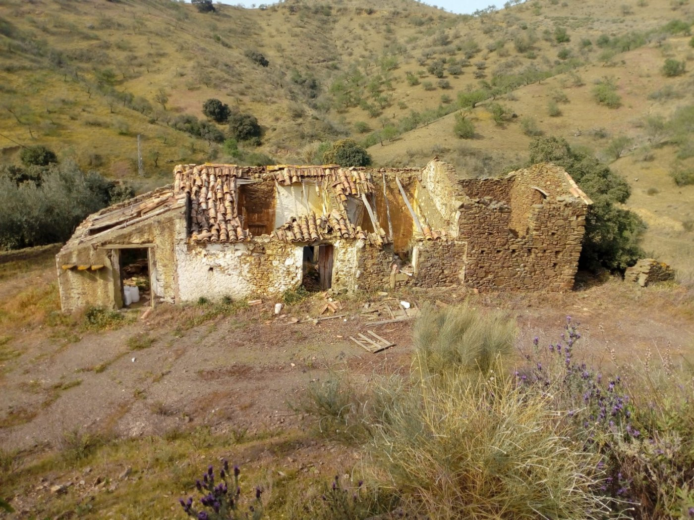 Terreno 80.000m2 con finca de origen