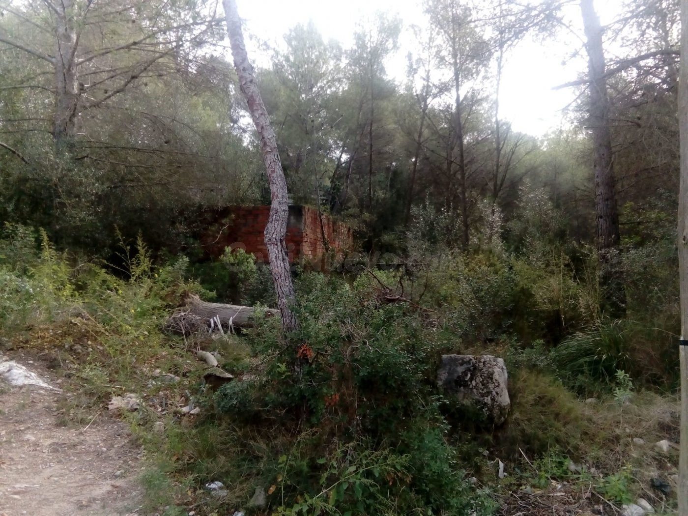 Terreno rural en venta - Can Lloses - Valles Altos