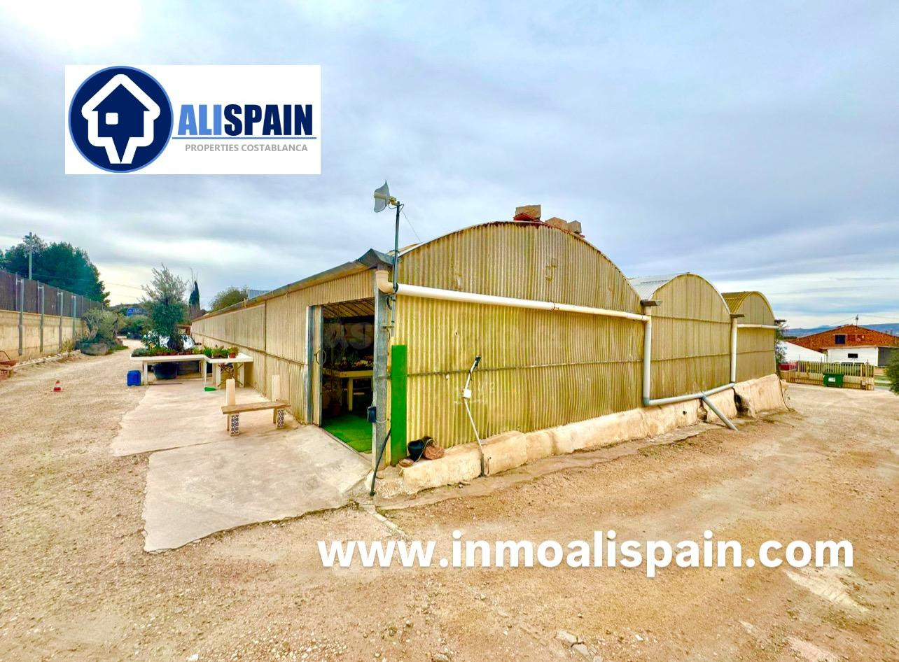OPORTUNIDAD TERRENO DE USO INDUSTRIAL EN VIA PRINCIPAL - PETRER ALICANTE