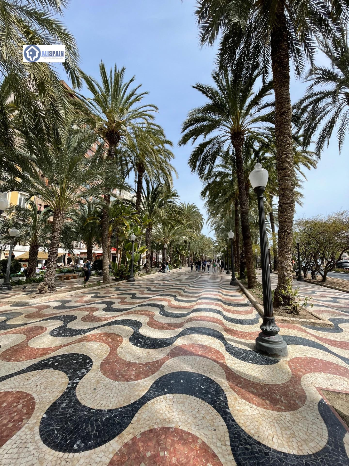 EDIFICIO COMPLETO EN VENTA CENTRO DE ALICANTE