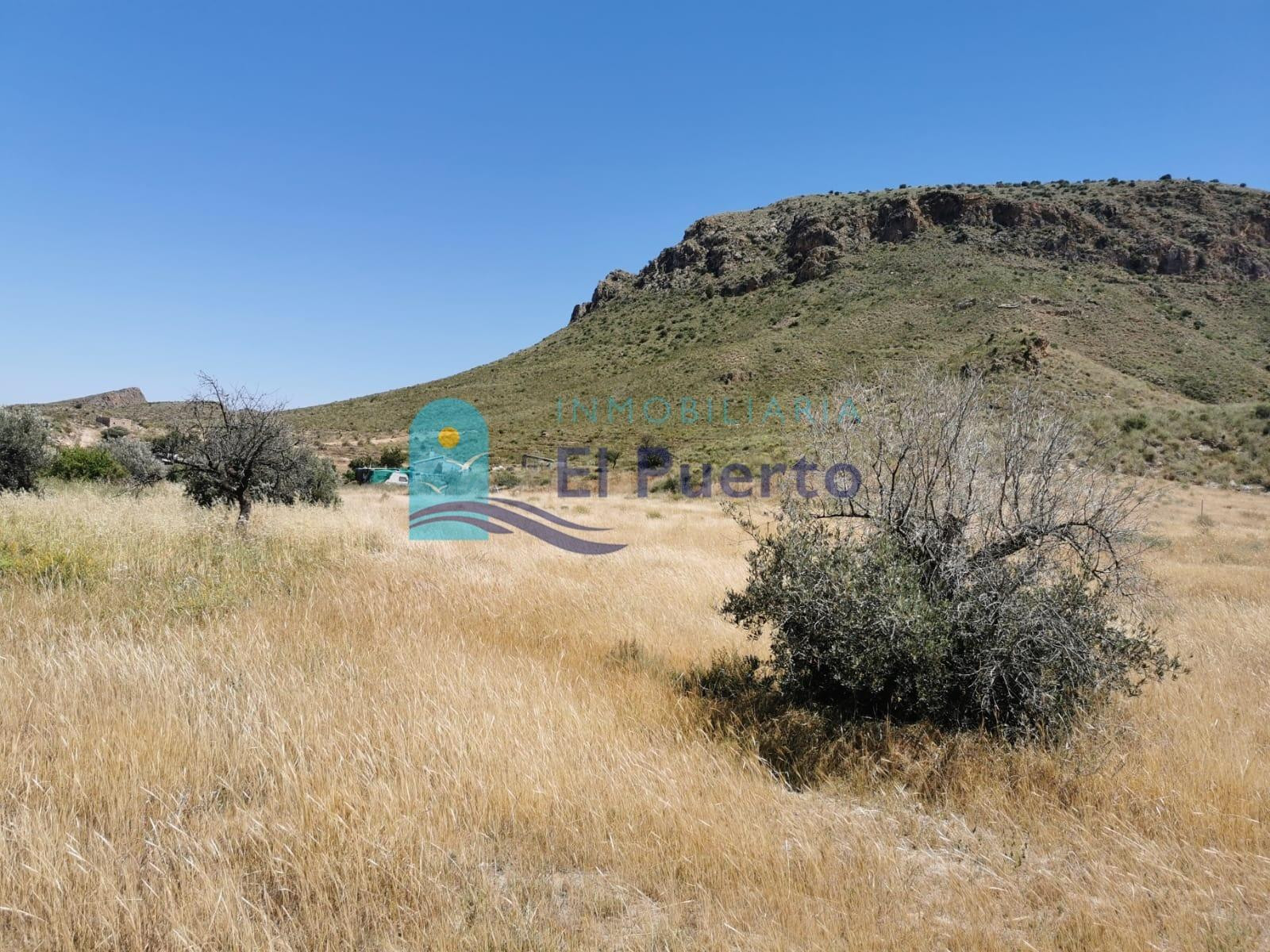 TERRENO RÚSTICO VALLADO DE 8.300 m2 EN PASTRANA - REF 1793