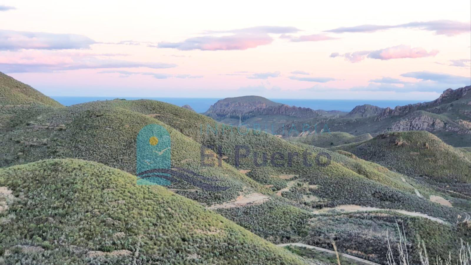 TERRENO RÚSTICO EN MORATA (LORCA) – REF. 2066