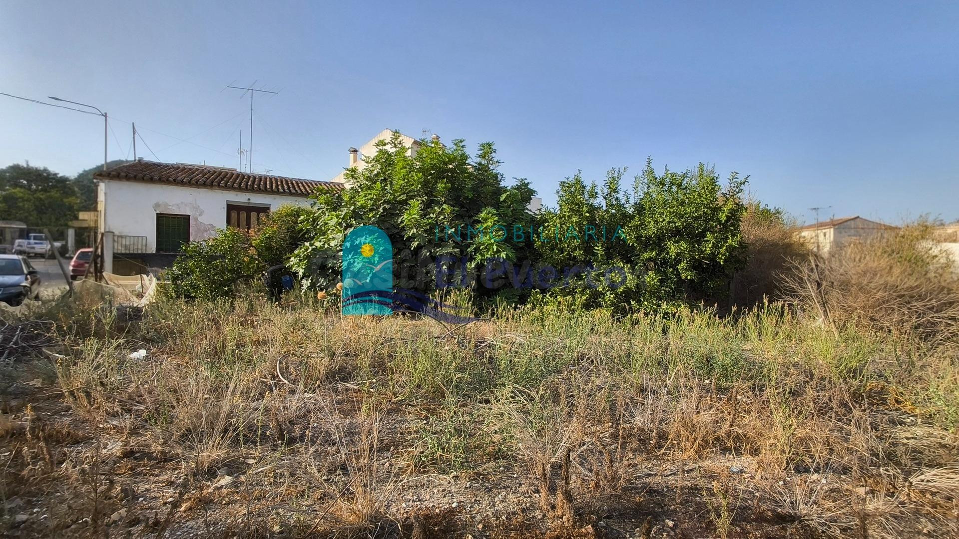 CASA CON GRAN POTENCIAL URBANÍSTICO EN LA ACEÑA, MAZARRÓN – REF. 2083