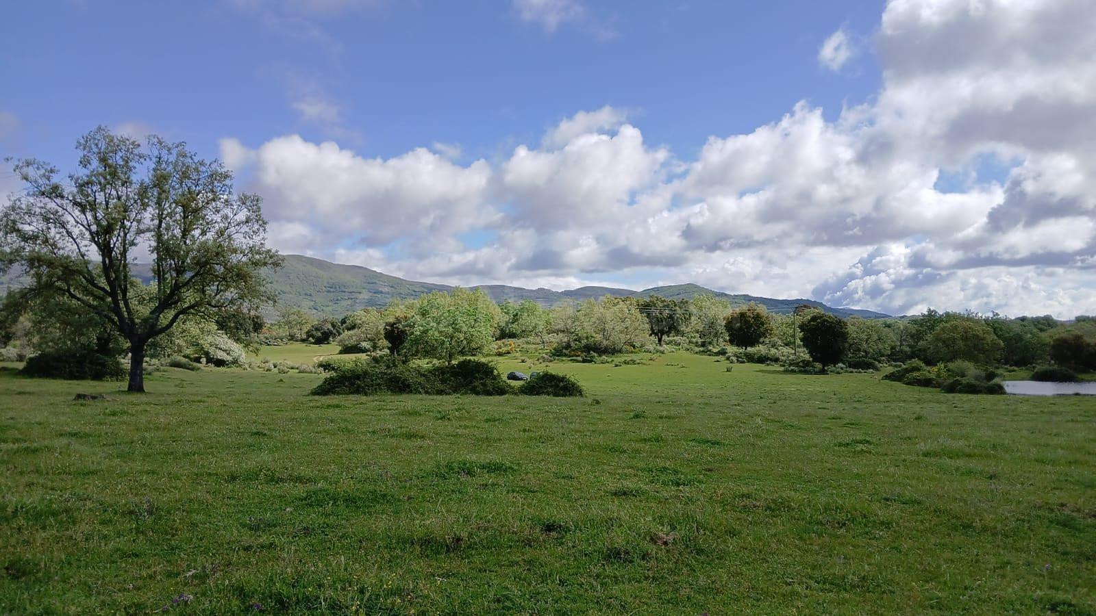 FINCA RUSTICA IDEAL PARA GANADO - foto 3