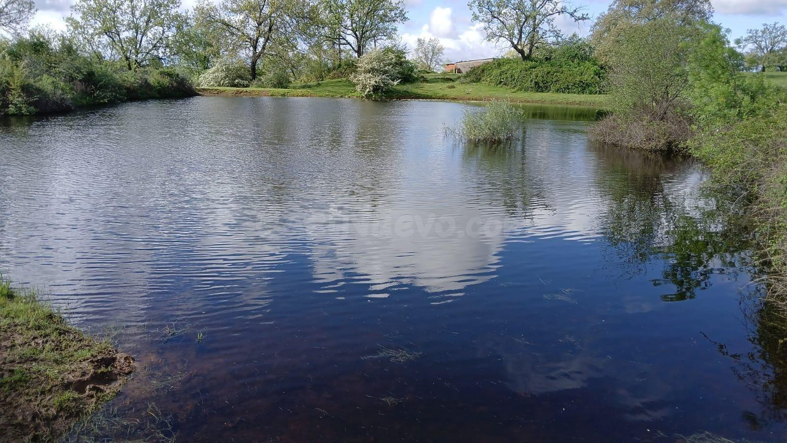 FINCA RUSTICA IDEAL PARA GANADO - foto 4