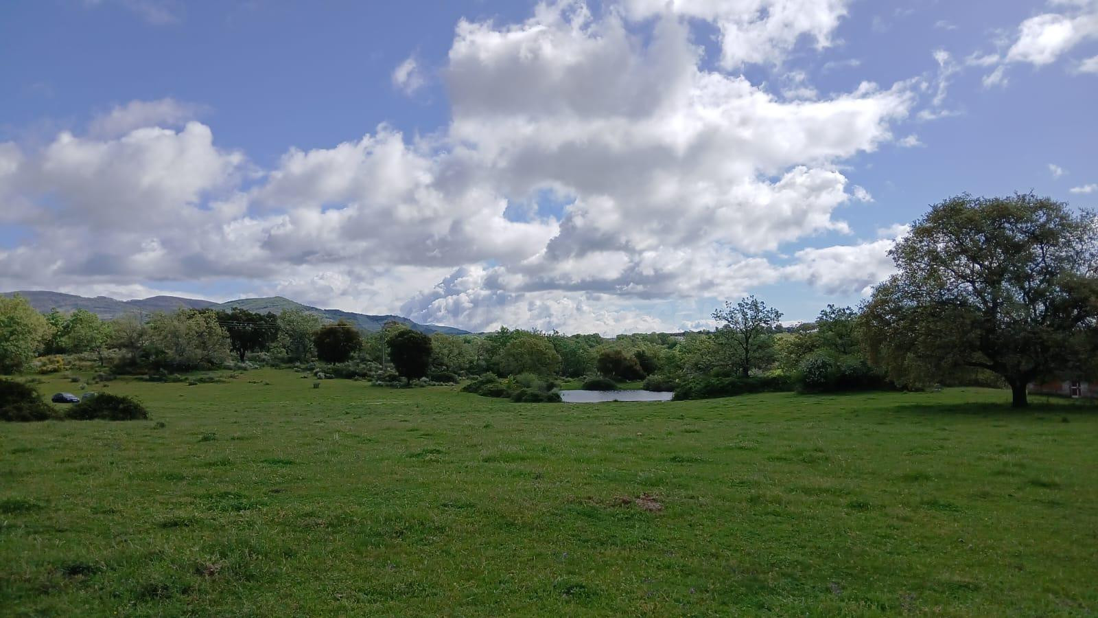 FINCA RUSTICA IDEAL PARA GANADO - foto 5