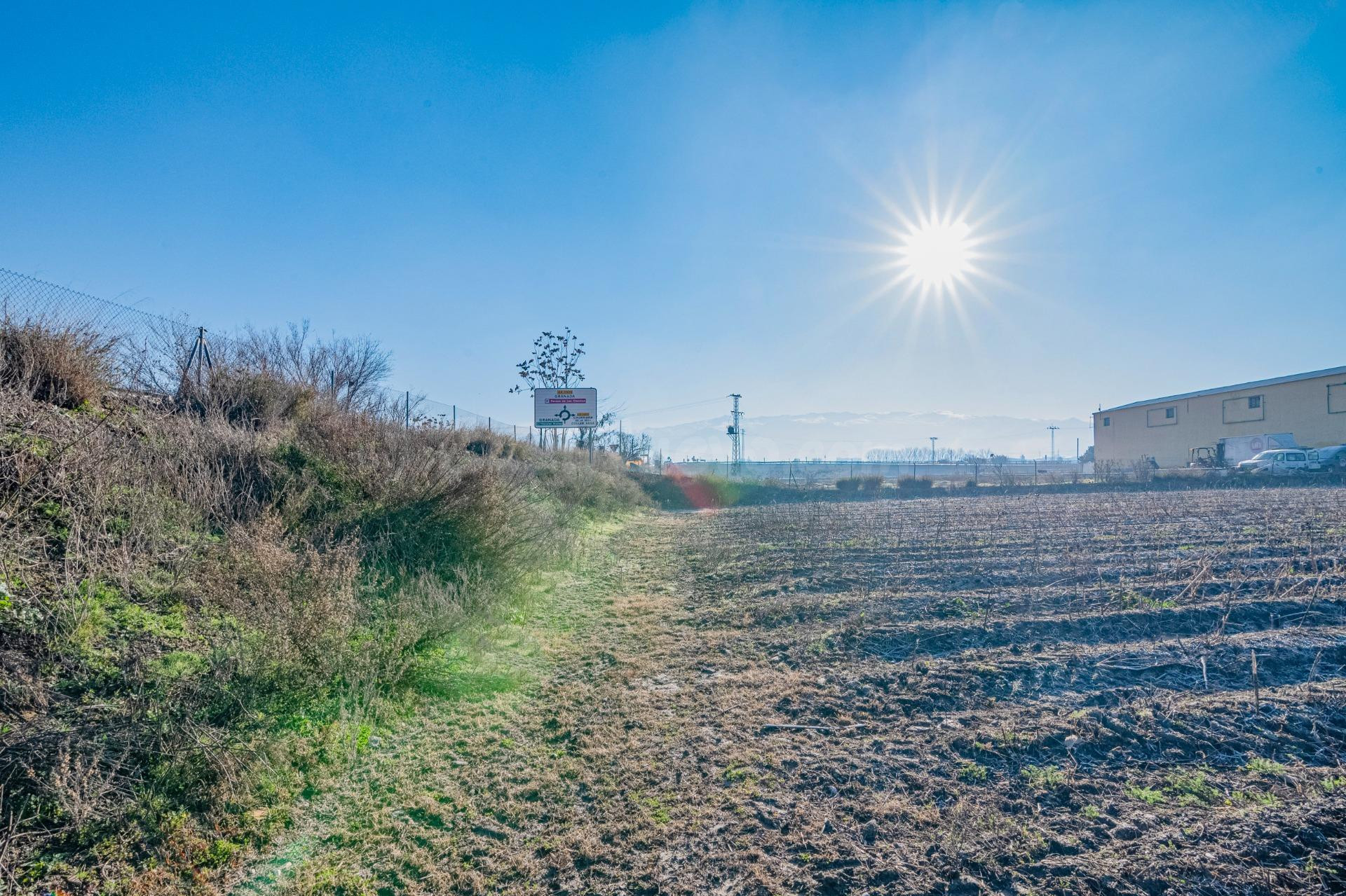 Magnífica finca de regadío en la Vega de Granada, con acceso directo.