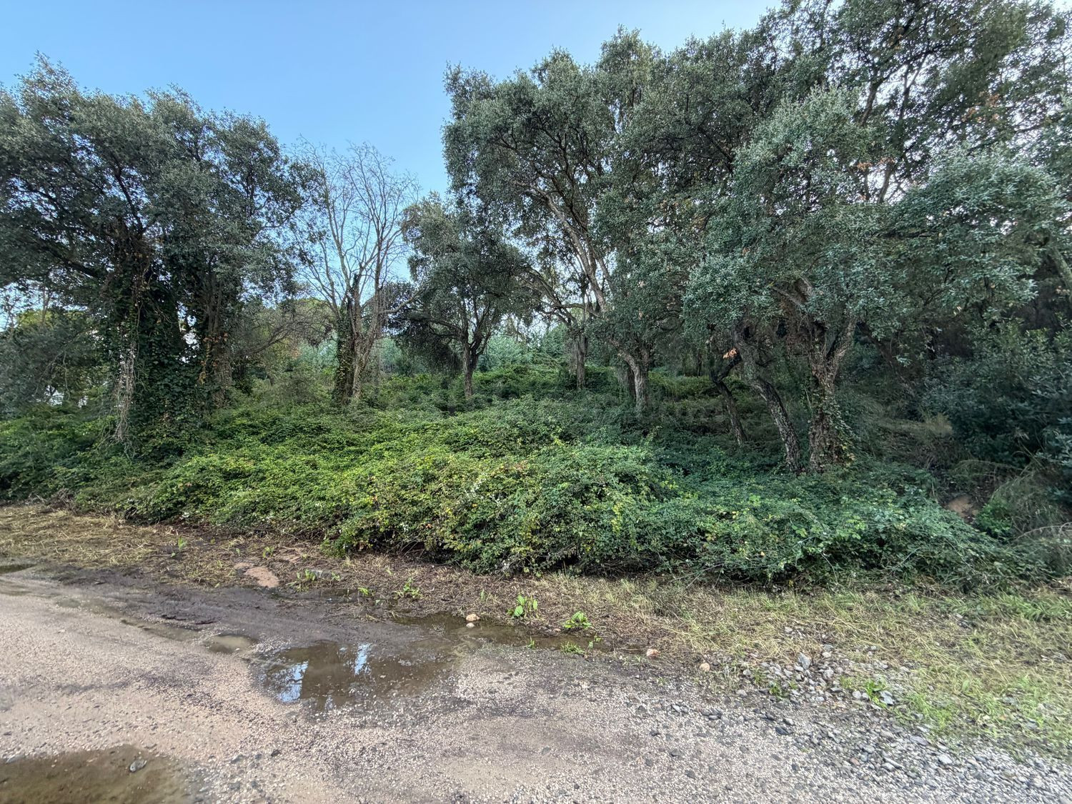 Terreno urbanizable 600m² en venta - Can Semi-Mas Nou-Mas Ros