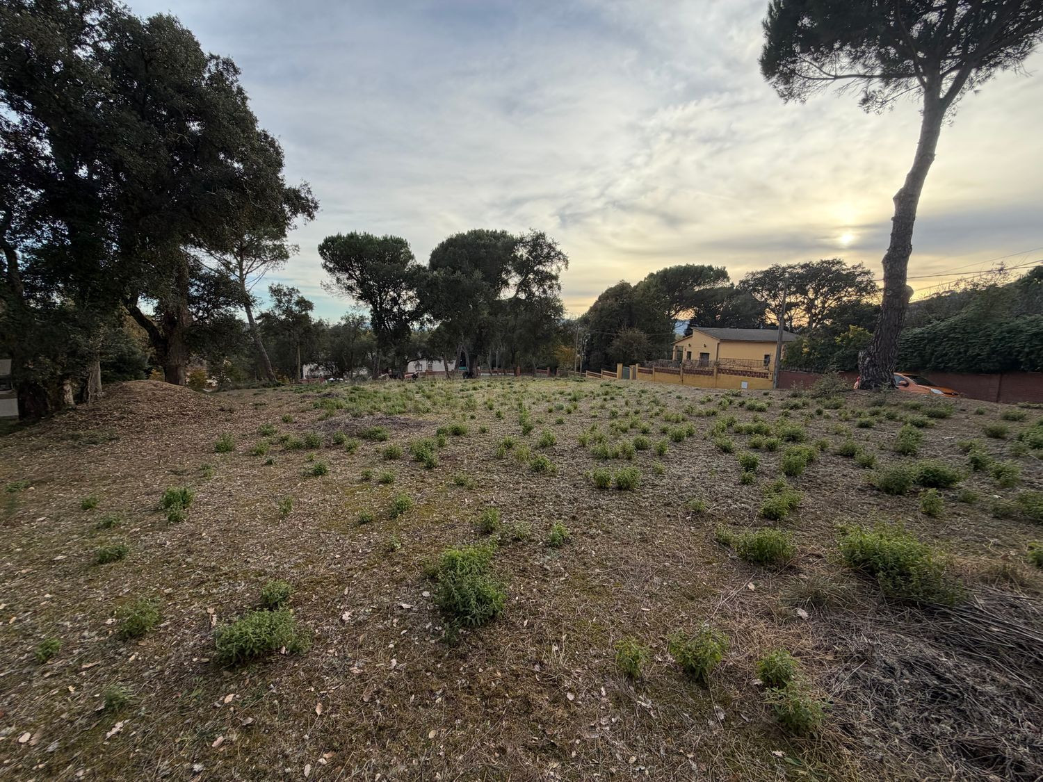 Terreno de 667 m2 en venta – Urbanización Sant Roc, Massanes (Girona)