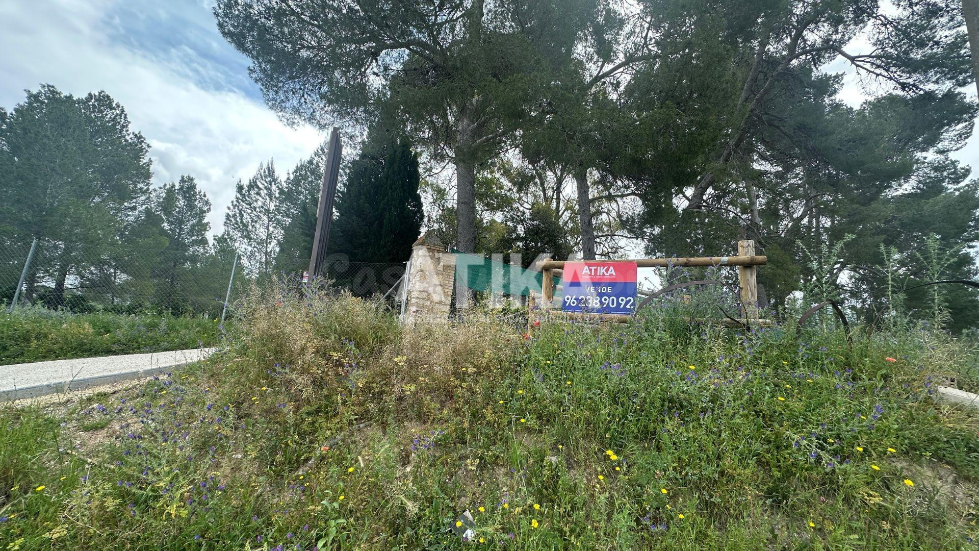 PARCELA URBANIZABLE EN VENTA EN ONTINYENT