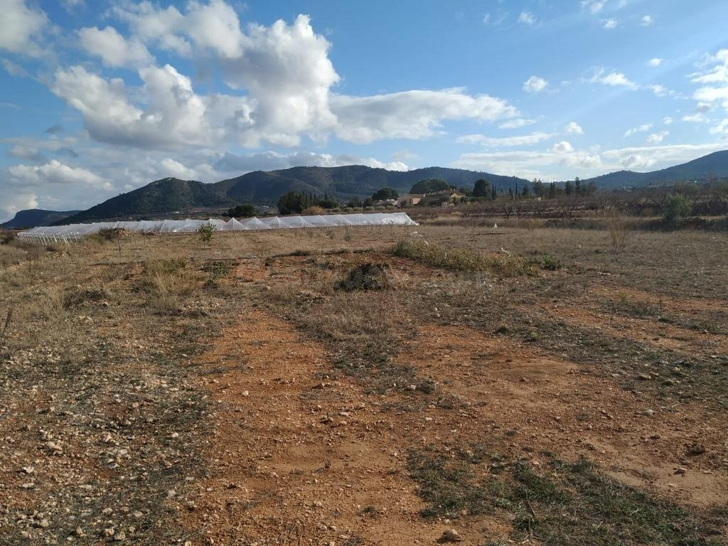Se Vende Tierra Rústica en La Romana - Novelda (Alicante)
