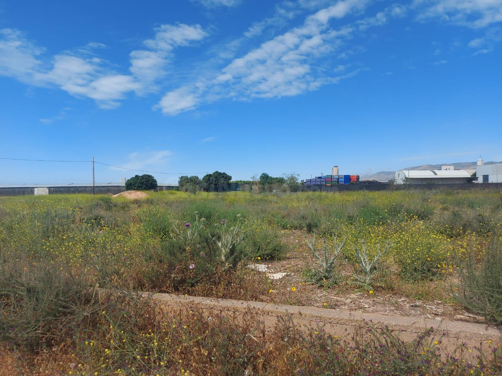 Terreno en venta en Santa María del Águila