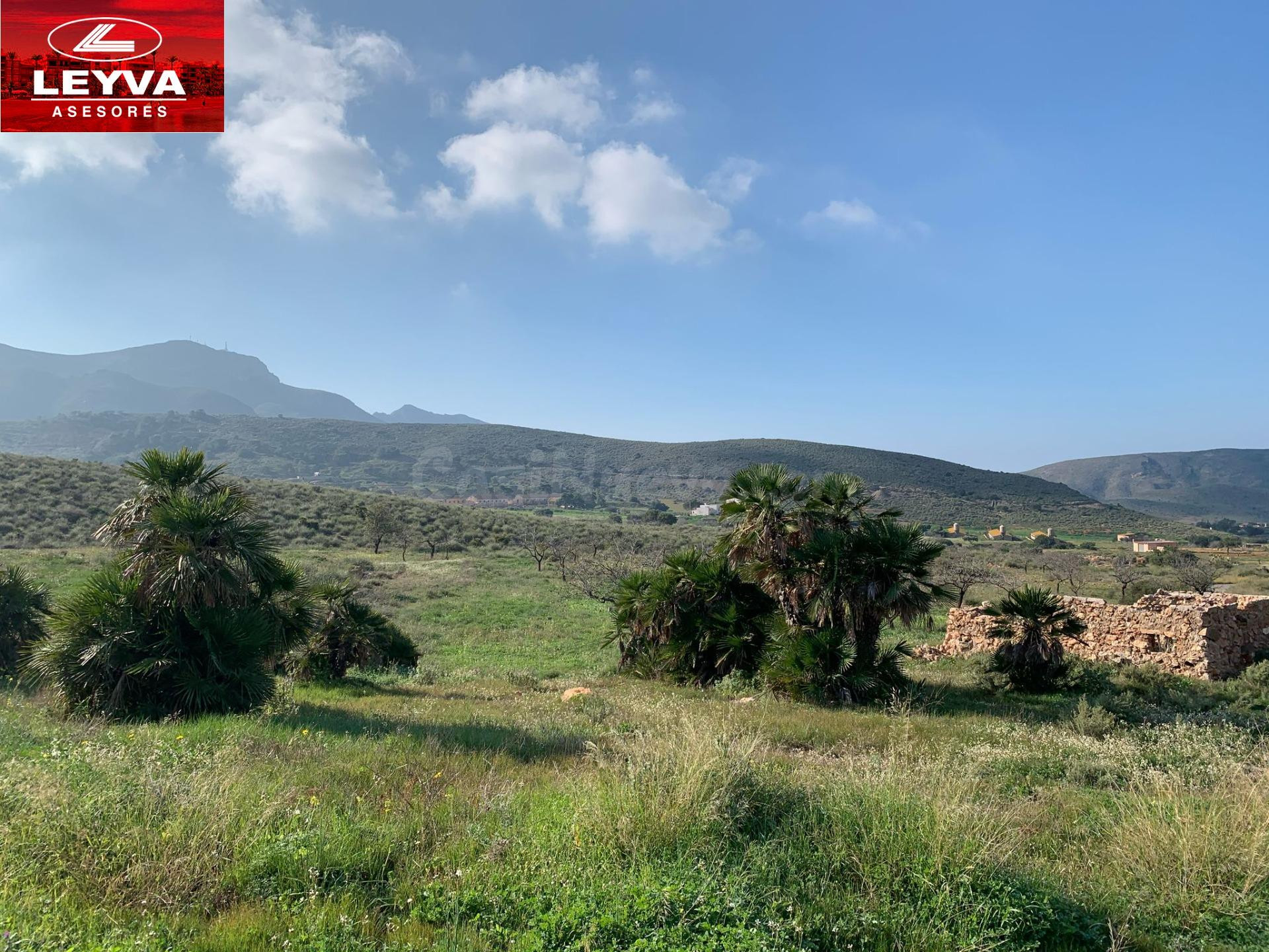 FINCA RUSTICA EN VENTA EN CAMPILLO DE ADENTRO