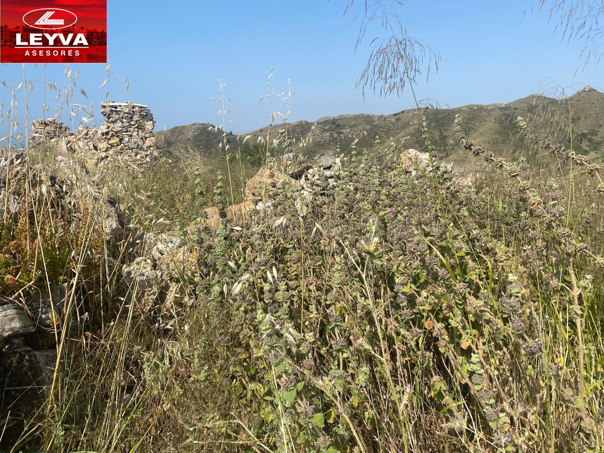 TERRENO DE 40000M2 EN VENTA EN EL PARRILLAR