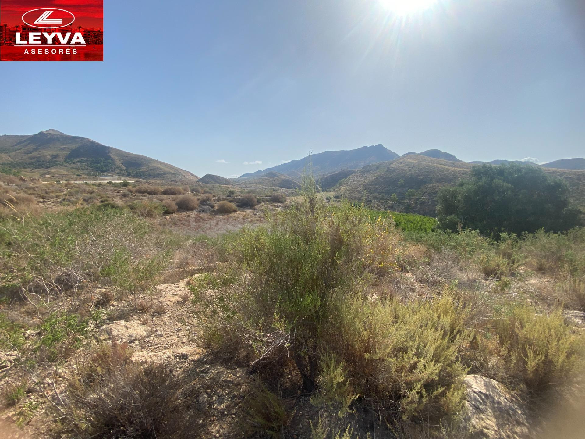 SE VENDEN 2 FINCAS RUSTICAS DE 20000 M2 CON TRES CASAS EN RUINAS EN PARAJE DE LOS MORENOS (LAS BALSICAS)