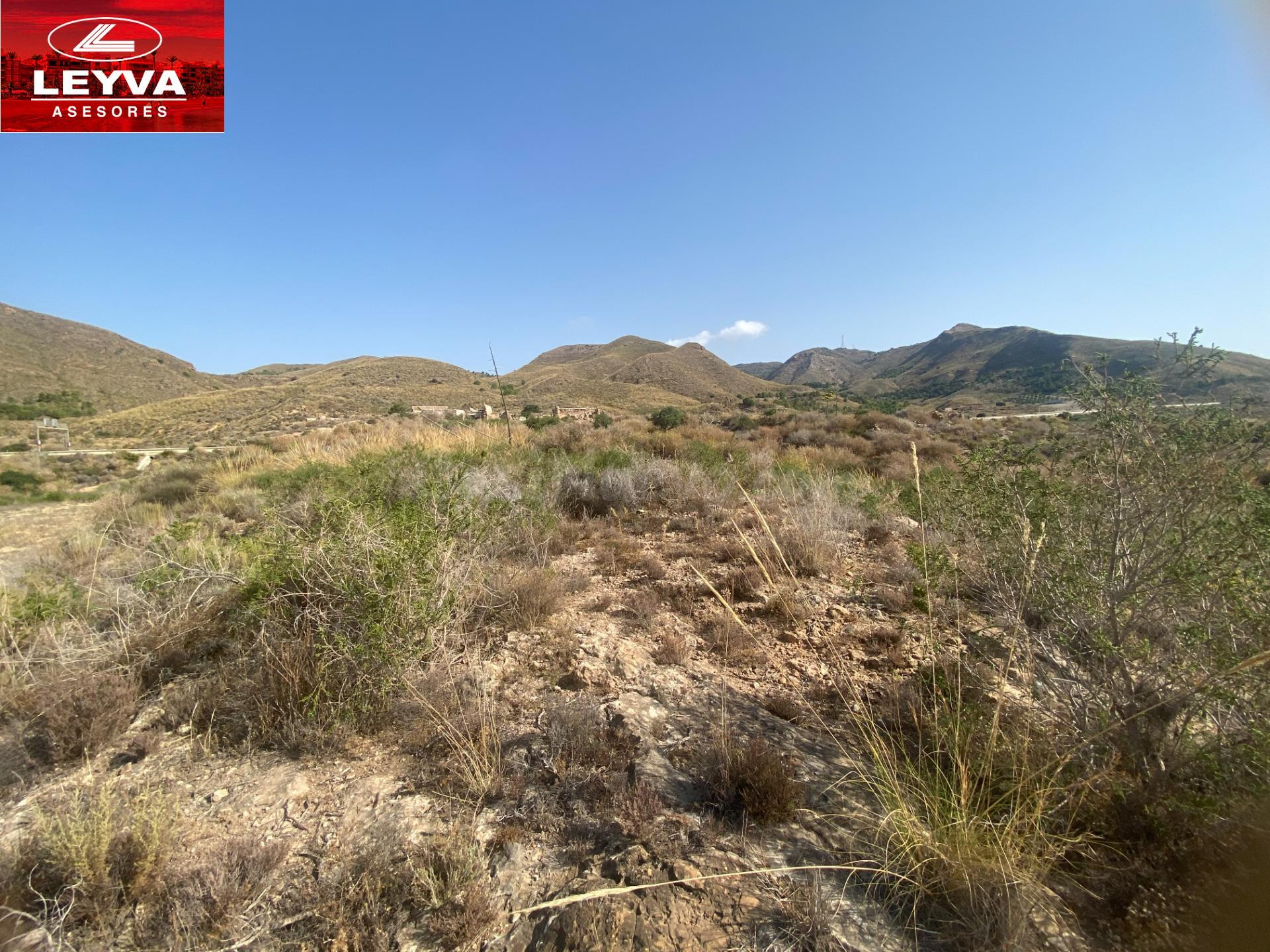 SE VENDEN DOS PARCELAS RUSTICAS DE 80000 Y 40000 M2 EN EL JUNCARICO