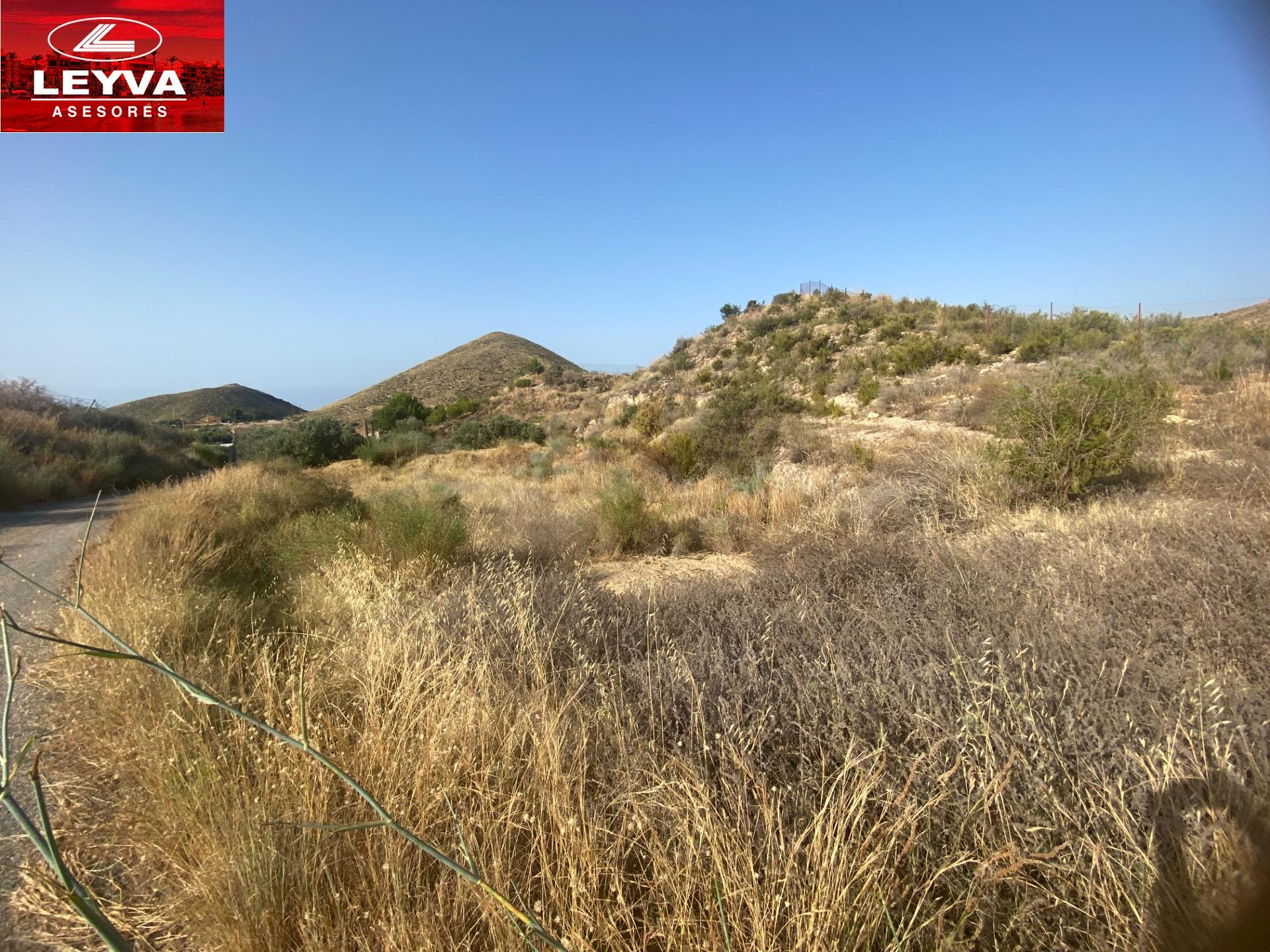 TERRENO RUSTICO DE 20000 M2 EN VENTA CON 3500 M2 URBANIZABLES EN LAS BALSICAS