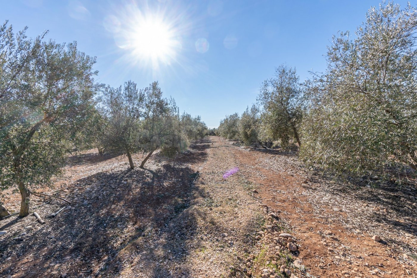 OPORTUNIDAD DE FINCA RUSTICA JUNTO PANTANO DE CUBILLAS