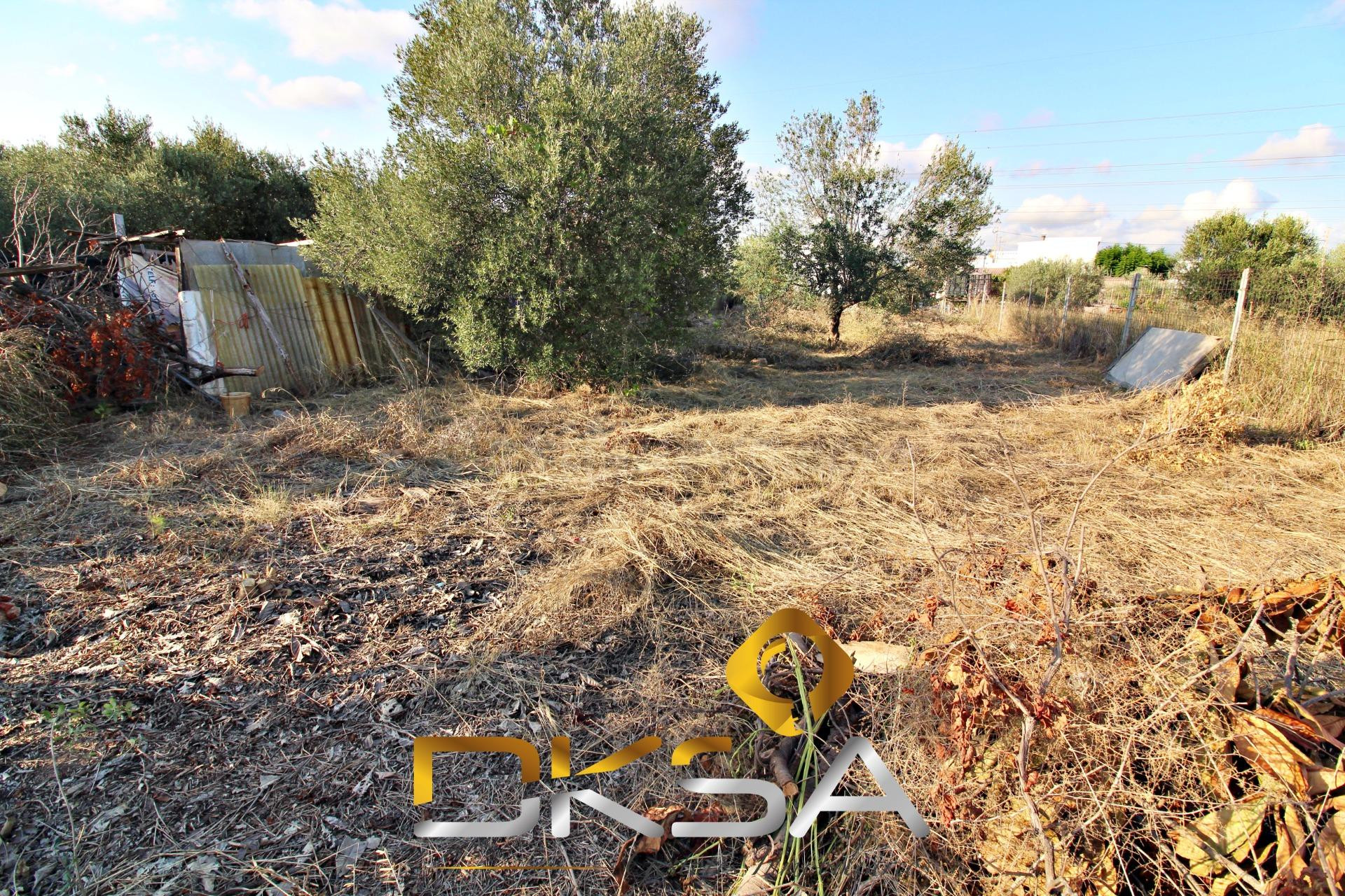 Terreno rústico con 429m2 en la calle molí nou, Vila-real