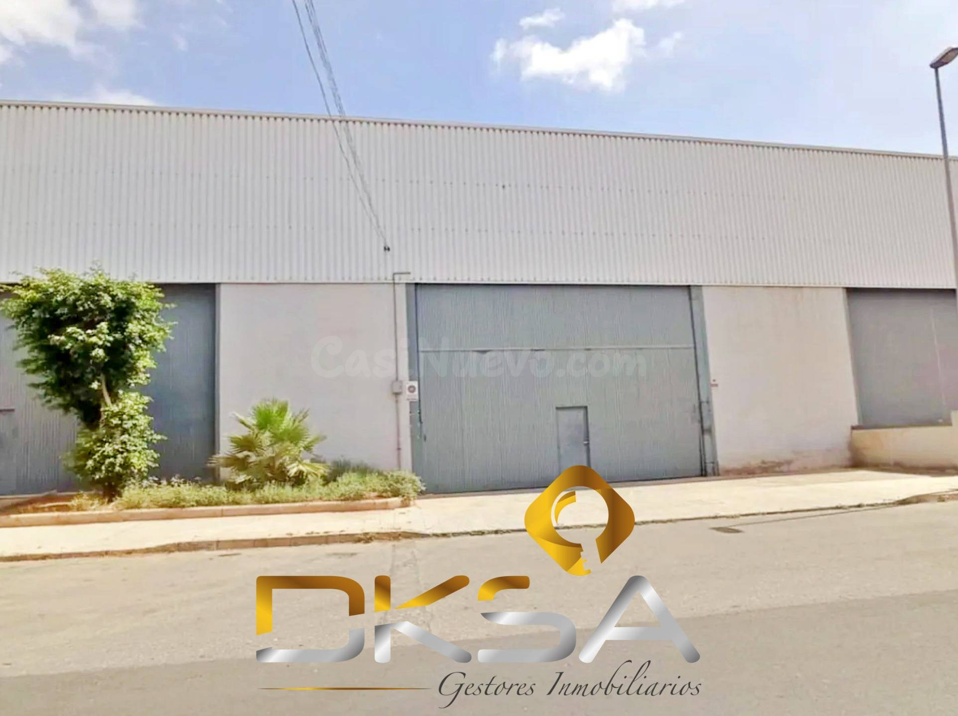 MÁS DE 2.000 M2 ENTRE NAVE, ALTILLO Y PATIO PARA PONER TU NE - foto 4