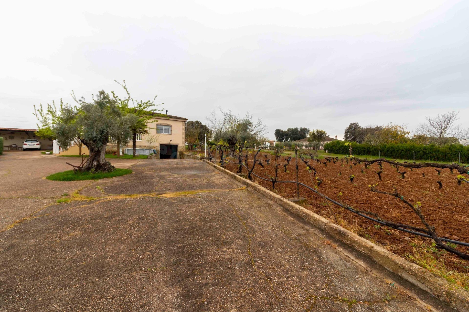 A UN PASO DE BADAJOZ… TU REFUGIO PARA DISFRUTAR SIN PRISAS
