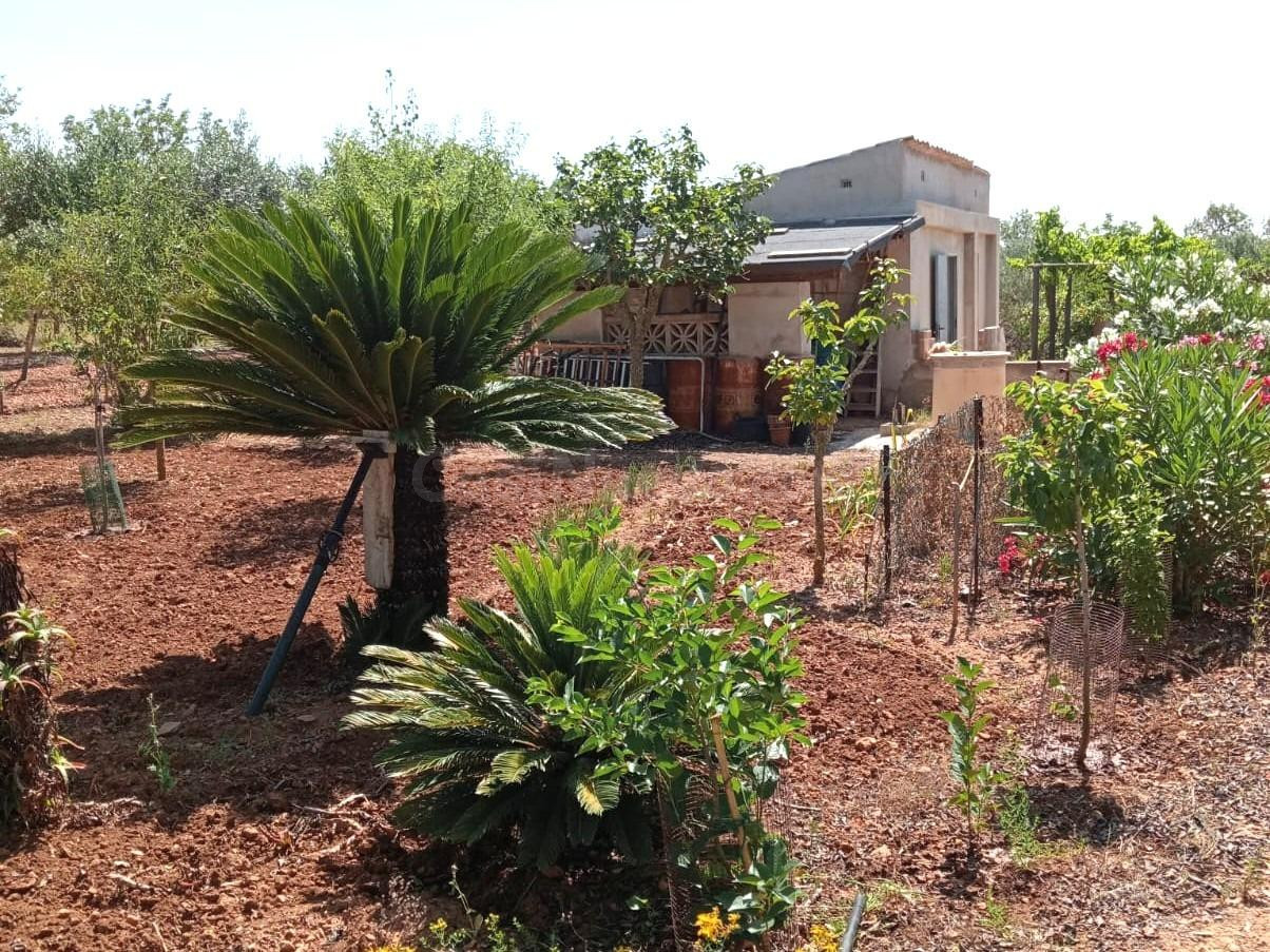 CASITA DE CAMPO EN PORRERAS