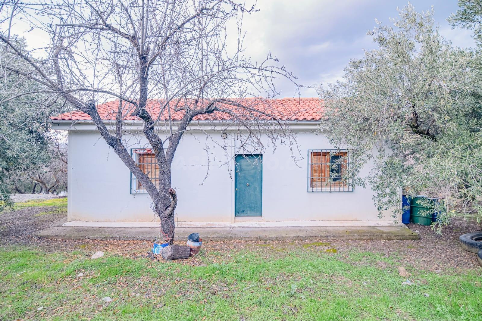 Finca en Pinos Génil