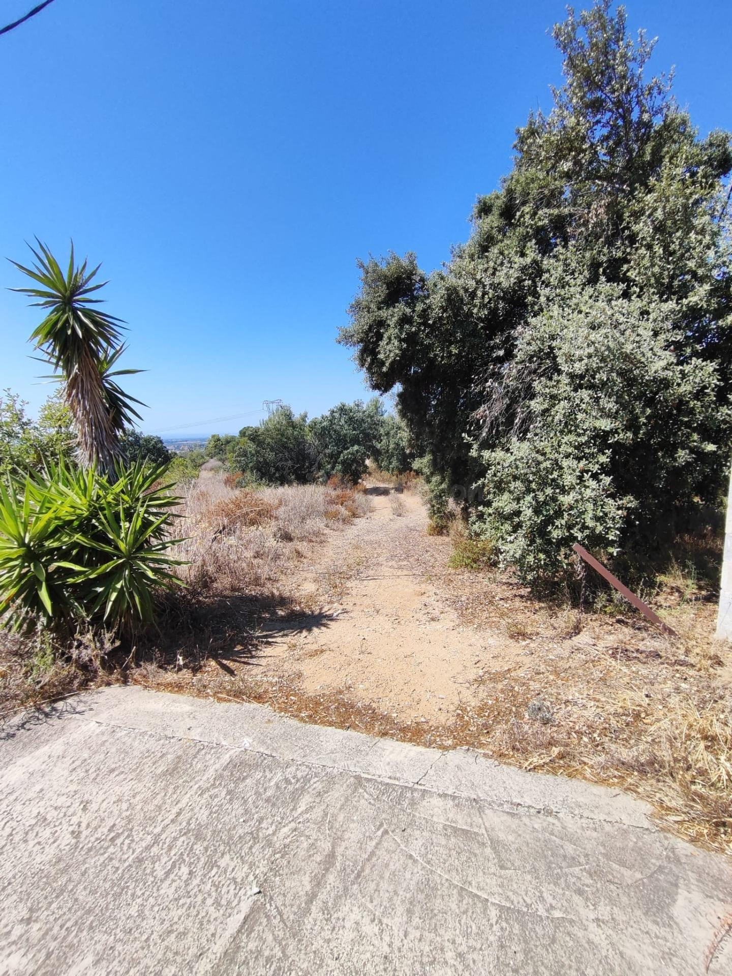 Terreno en venta en l'Aleixar