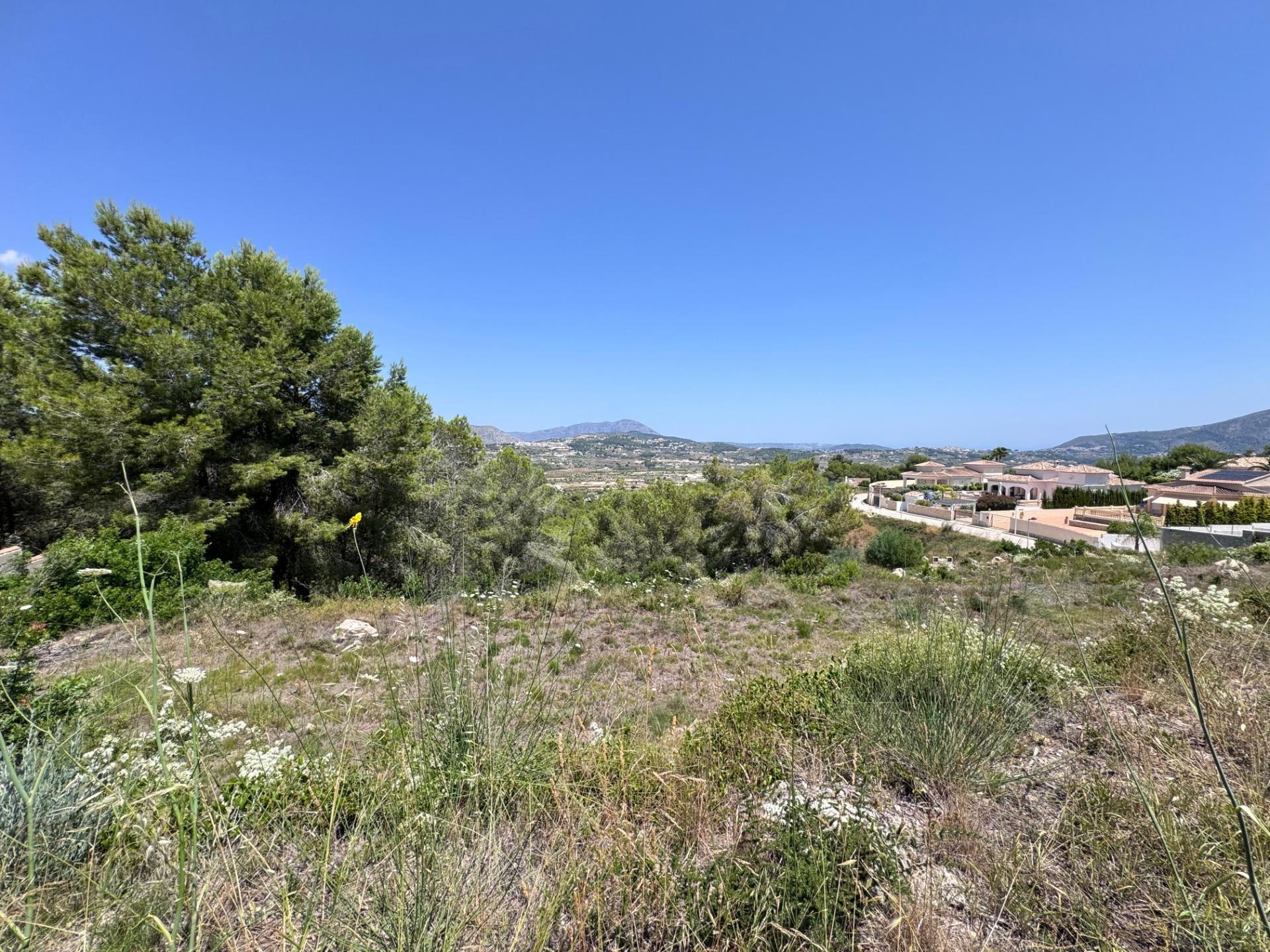 Parcela urbana en Teulada con vistas panorámicas para construir vivienda unifamiliar