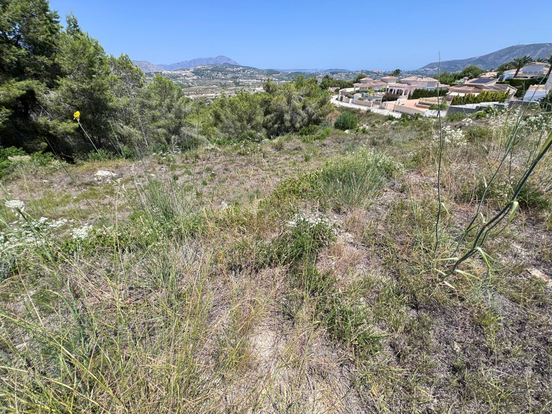 Parcela urbana en Teulada con vistas panorámicas para construir vivienda unifamiliar