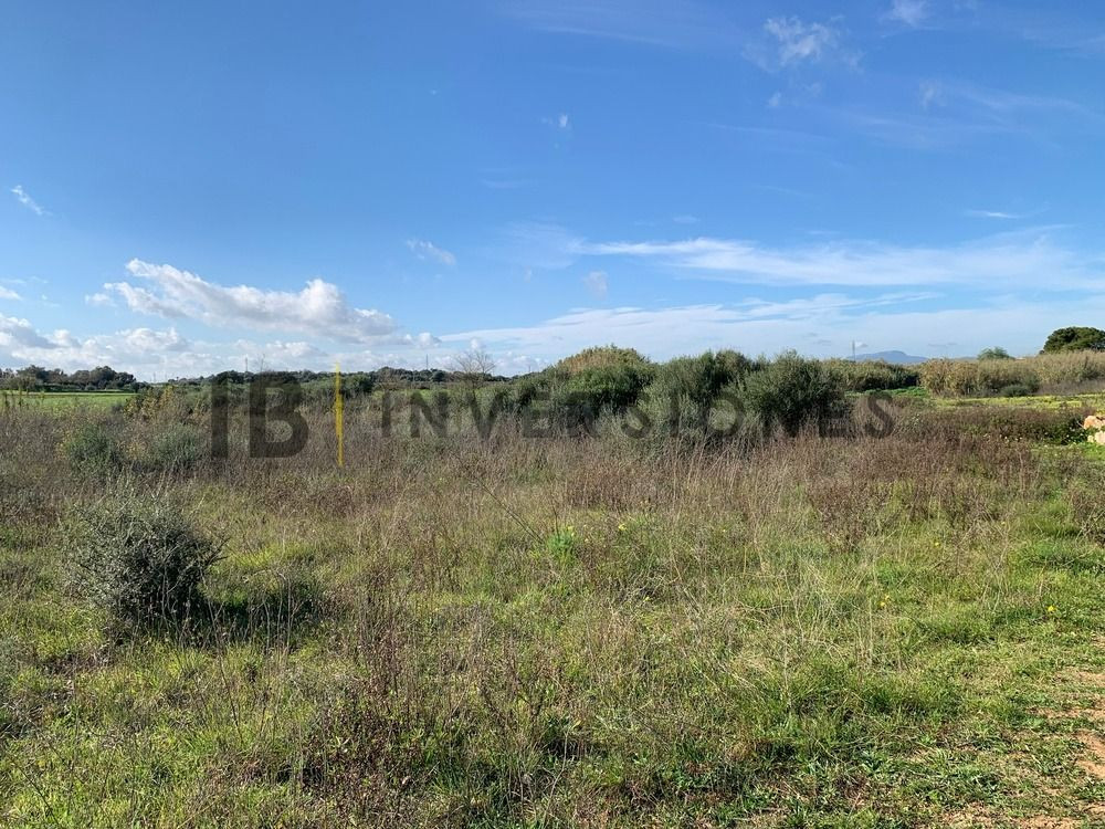 Terreno rural en venta - Manacor Centro