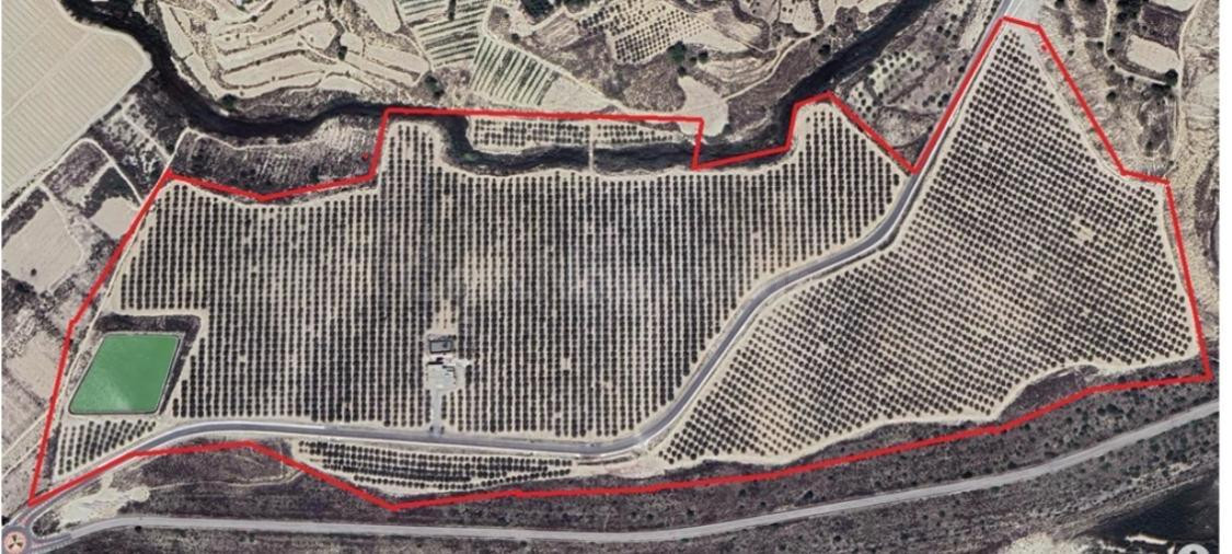 FINCA RÚSTICA CON EXPLOTACIÓN AGRÍCOLA - ZONA PANTANO DE LA PEDRERA, HURCHILLO -