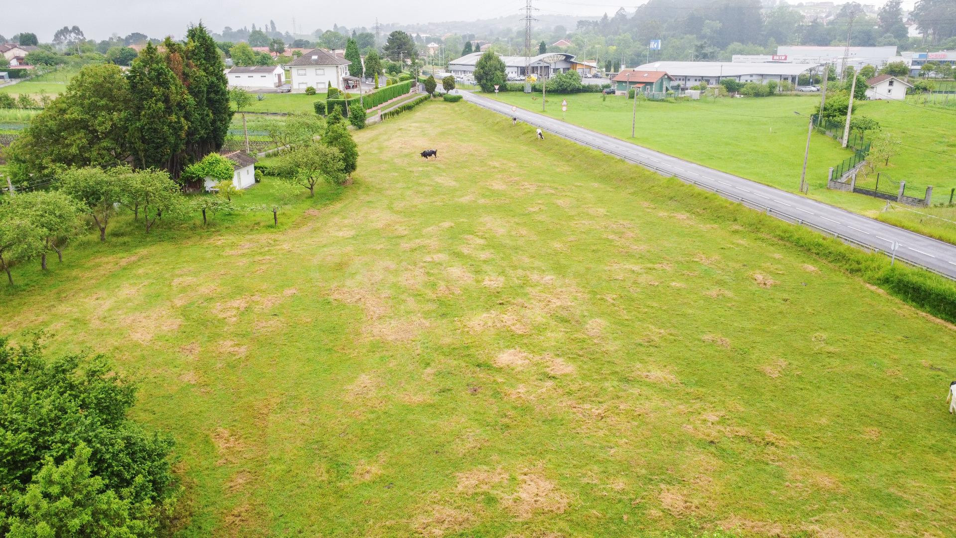 Terreno urbanizable en Pruvia para 4 viviendas unifamiliares. Zona estratégica en Asturias